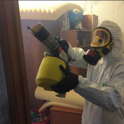 Уничтожение клопов в квартире. Белоярский
